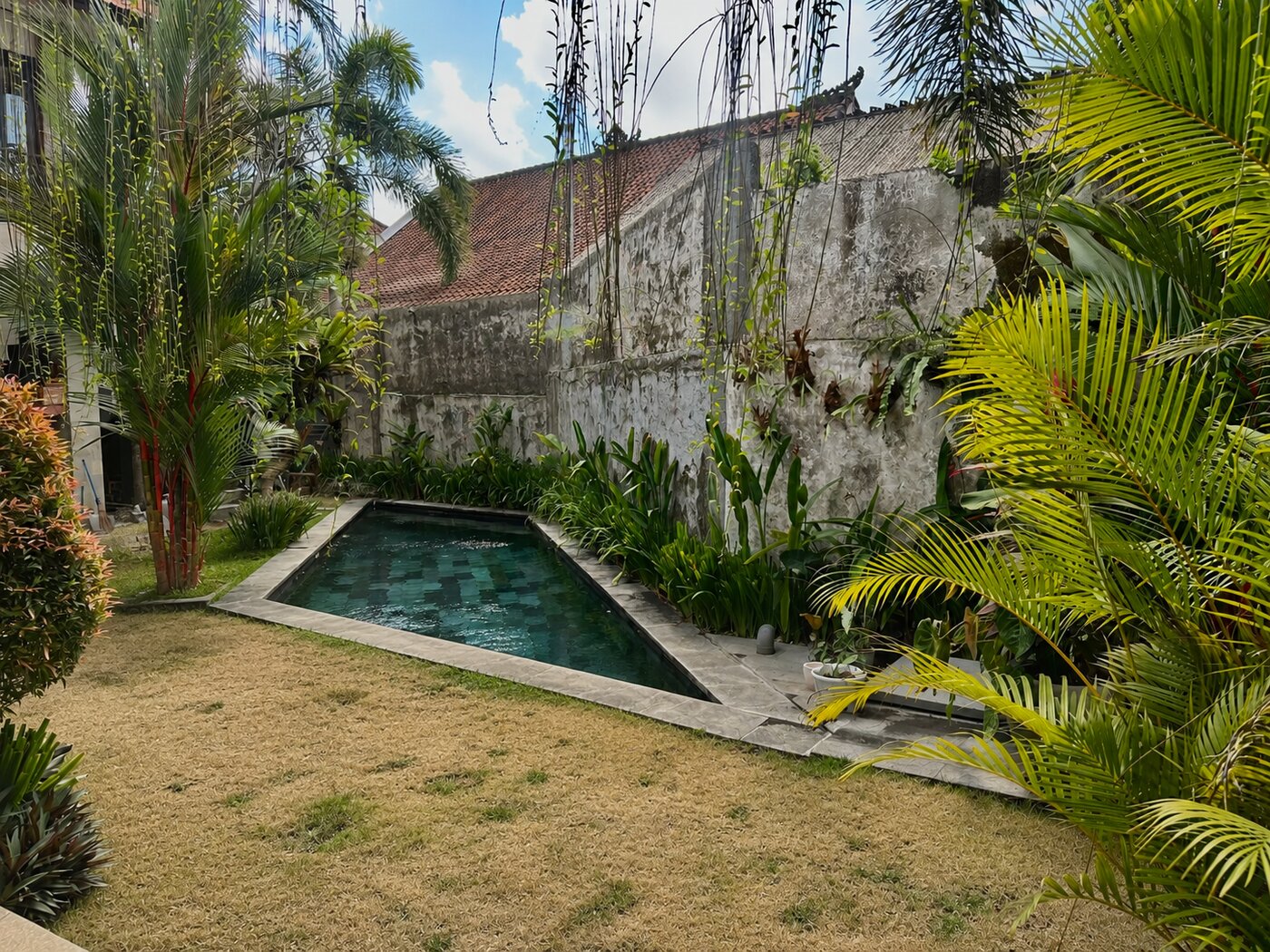 Seseh guesthouse pool and garden before renovation